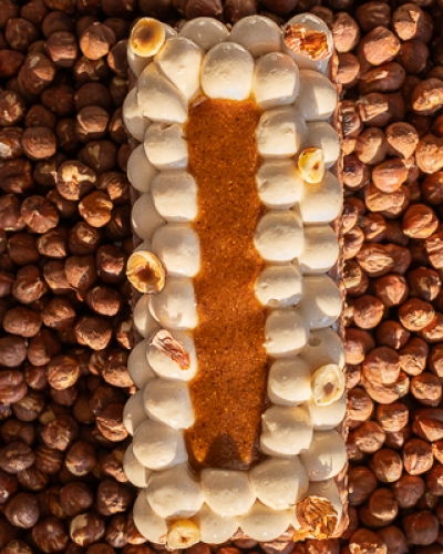 Bûche chocolat & noisettes