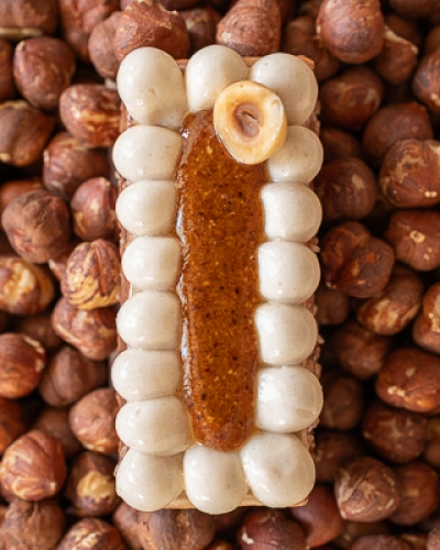 Bûchette chocolat & noisettes